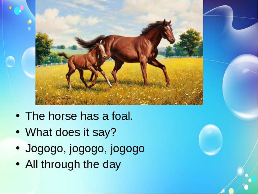The horse has a foal. What does it say? Jogogo, jogogo, jogogo All through th...