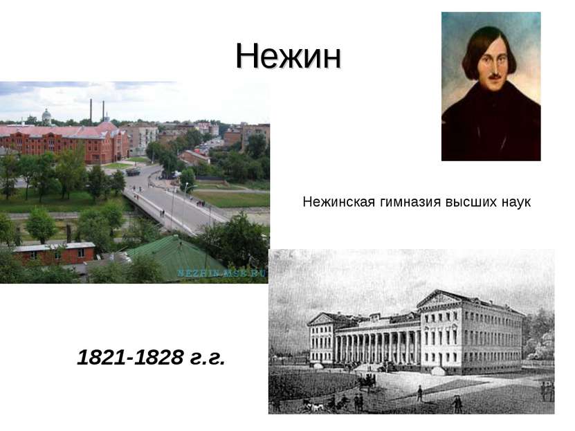 Нежин Нежинская гимназия высших наук 1821-1828 г.г.