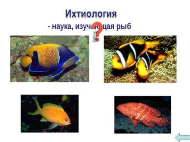 - наука, изучающая рыб