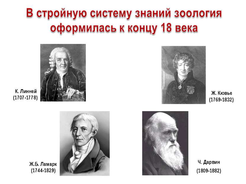 Ж.Б. Ламарк (1744-1829) Ч. Дарвин (1809-1882) К. Линней (1707-1778) Ж. Кювье ...