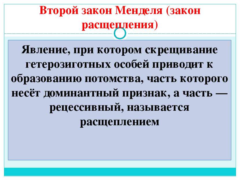 Второй закон Менделя (закон расщепления) Явление, при котором скрещивание гет...