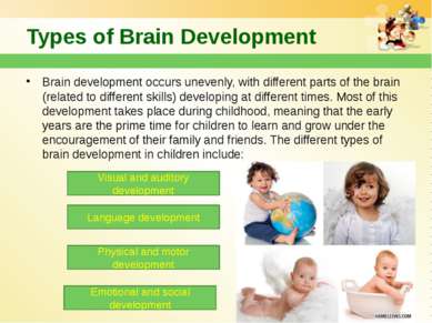 Types of Brain Development Brain development occurs unevenly, with different ...