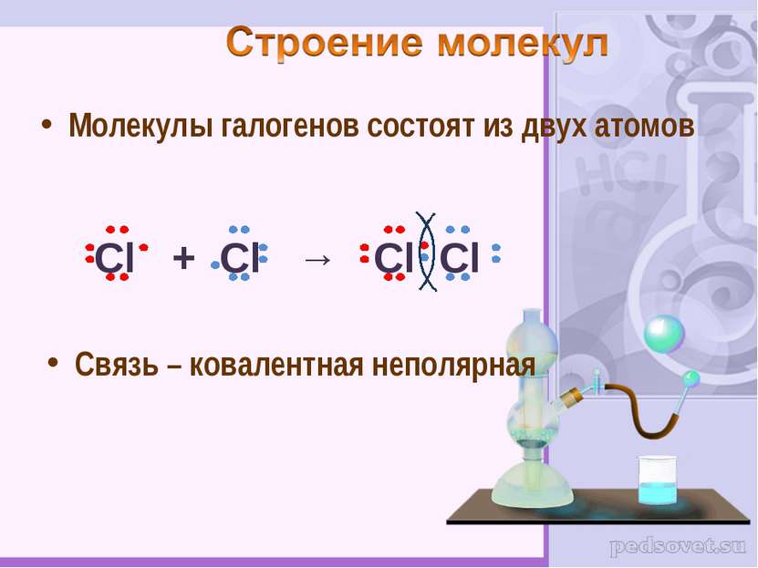 Молекулы галогенов состоят из двух атомов Связь – ковалентная неполярная