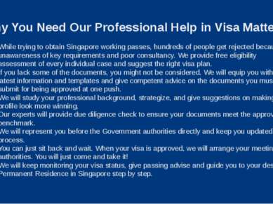 Why You Need Our Professional Help in Visa Matters? While trying to obtain Si...