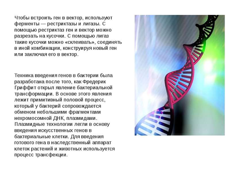 Чтобы встроить ген в вектор, используют ферменты — рестриктазы и лигазы. С по...