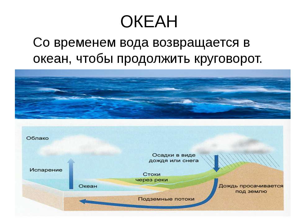 Влияние океана на сушу. Схема круговорота воды в мировом океане. Гидросфера круговорот воды в природе. Круговорот в океане. Океанический круговорот воды.