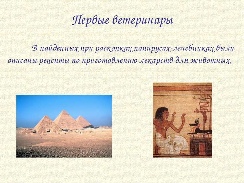 В найденных при раскопках папирусах-лечебниках были описаны рецепты по пригот...