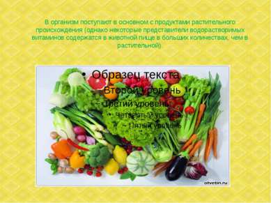 В организм поступают в основном с продуктами растительного происхождения (одн...