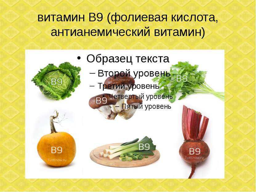 витамин В9 (фолиевая кислота, антианемический витамин)
