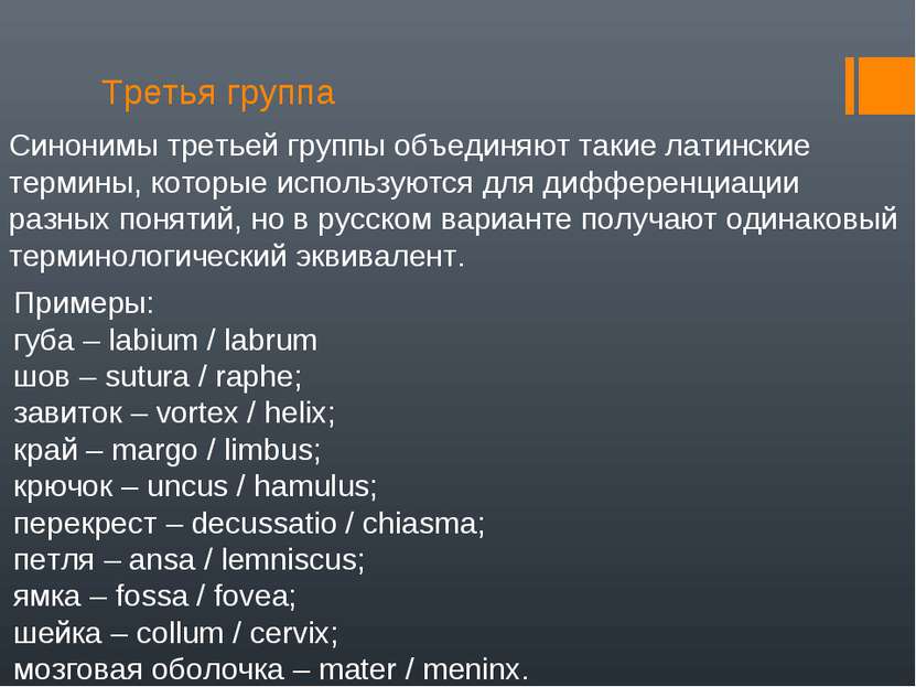 Третья группа Синонимы третьей группы объединяют такие латинские термины, кот...