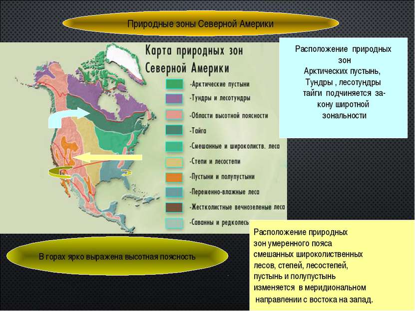 Природные зоны Северной Америки Расположение природных зон Арктических пустын...