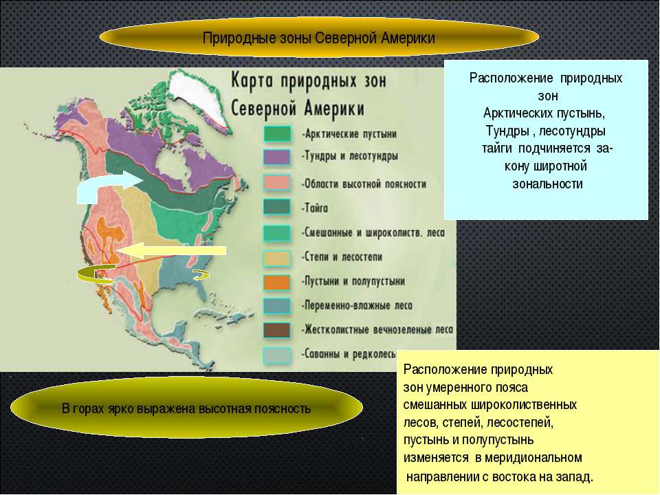 Природные зоны северной америки лесостепи. Природные зоны Северной Америки. Природные щоны Северной Америк. Расположение природных зон Северной Америки. Карта природных зон Северной Америки.