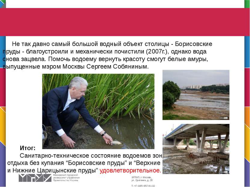 Не так давно самый большой водный объект столицы - Борисовские пруды - благоу...