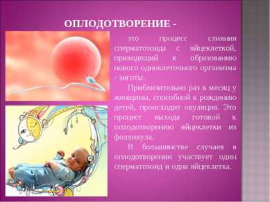 ОПЛОДОТВОРЕНИЕ - это процесс слияния сперматозоида с яйцеклеткой, приводящий ...
