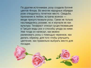 По другим источникам, розу создала богиня цветов Флора. Во многих народных об...
