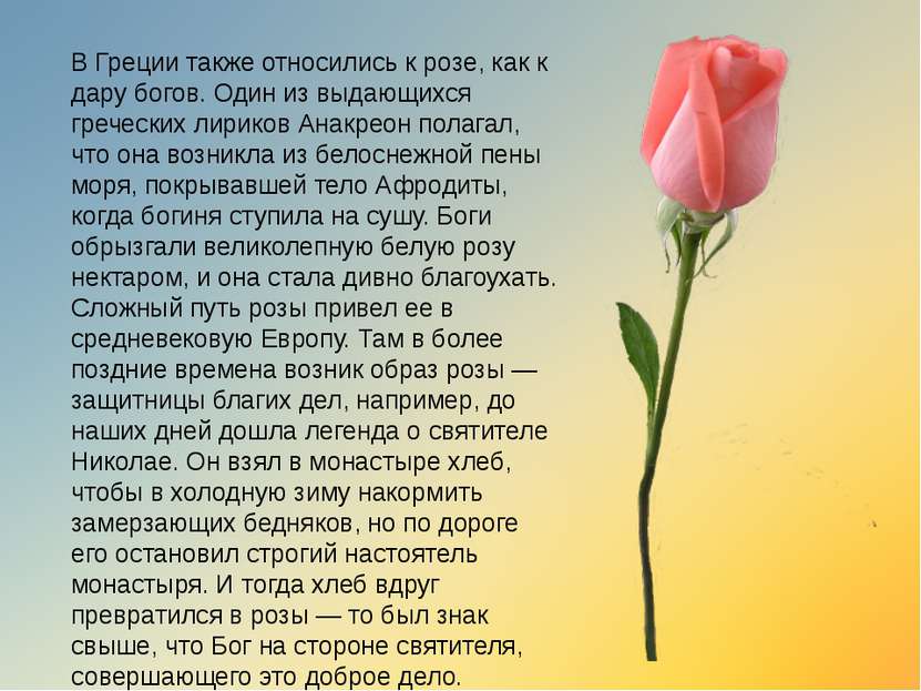 В Греции также относились к розе, как к дару богов. Один из выдающихся гречес...