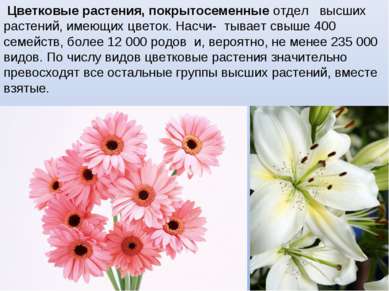 Цветковые растения, покрытосеменные отдел высших растений, имеющих цветок. На...