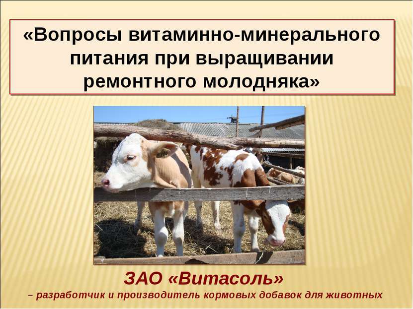 ЗАО «Витасоль» – разработчик и производитель кормовых добавок для животных «В...