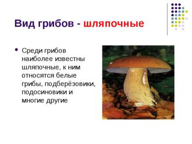 Вид грибов - шляпочные Среди грибов наиболее известны шляпочные, к ним относя...