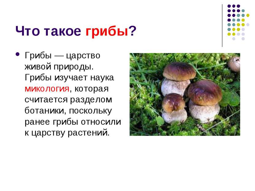 Что такое грибы? Грибы — царство живой природы. Грибы изучает наука микология...
