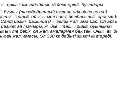 Аяқтың еркін қимылдайтын сүйектерінің буындары Ұршық буыны (тазобедренный сус...