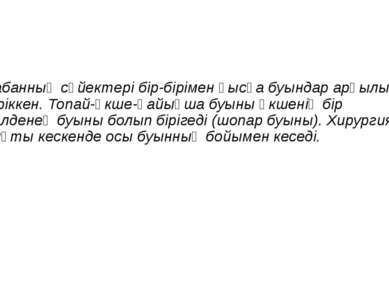 Табанның сүйектері бір-бірімен қысқа буындар арқылы біріккен. Топай-өкше-қайы...