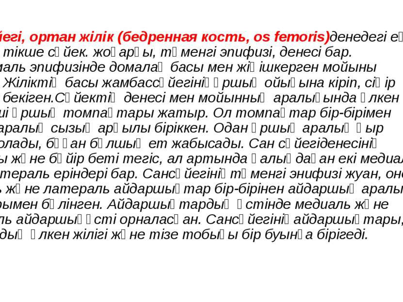 Сан сүйегі, ортан жілік (бедренная кость, os femoris)денедегі ең ұзын түтікше...