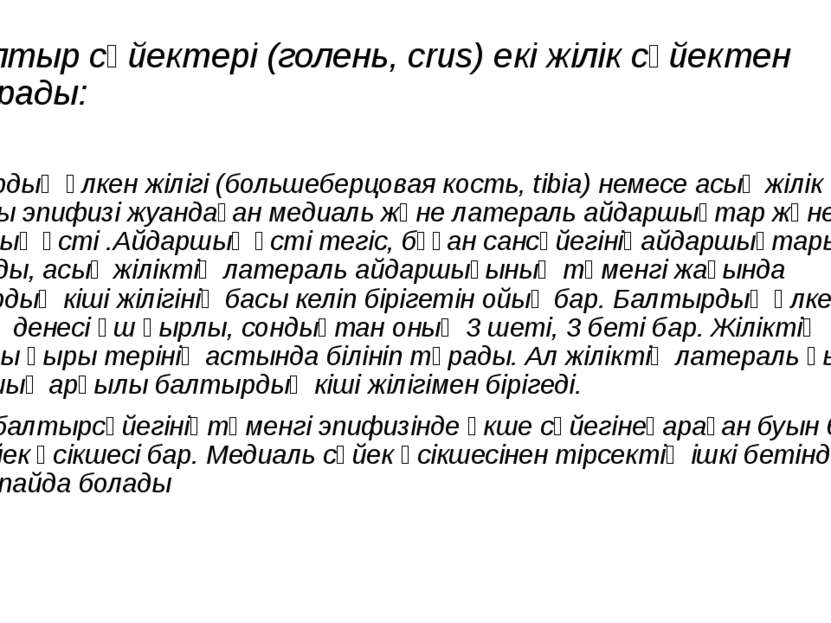 Балтыр сүйектері (голень, crus) екі жілік сүйектен тұрады: Балтырдың үлкен жі...