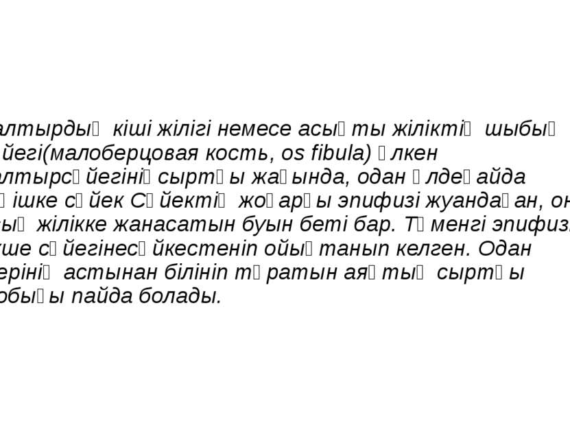 Балтырдың кіші жілігі немесе асықты жіліктің шыбық сүйегі(малоберцовая кость,...