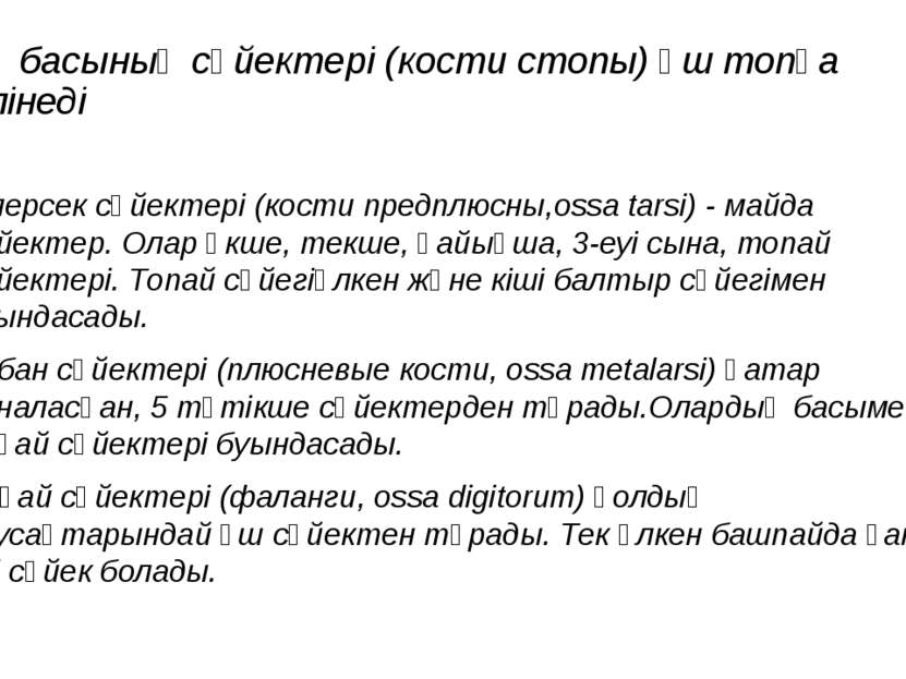 Аяқ басының сүйектері (кости стопы) үш топқа бөлінеді Тілерсек сүйектері (кос...