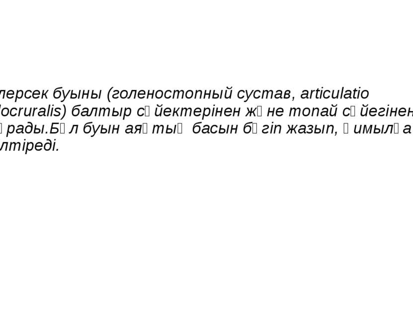 Тілерсек буыны (голеностопный сустав, articulatio talocruralis) балтыр сүйект...