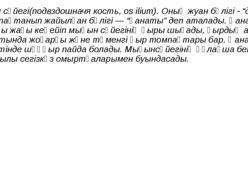 Мықын сүйегі(подвздошначя кость, os ilium). Оның жуан бөлігі - “денесі”, ал ж...