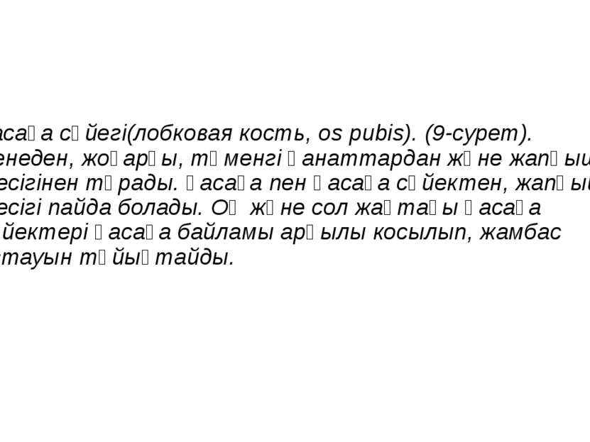 қасаға сүйегі(лобковая кость, os pubis). (9-сурет). Денеден, жоғарғы, төменгі...