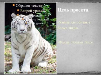 -Узнать где обитают белые тигры. -Факты о белом тигре. Цель проекта.