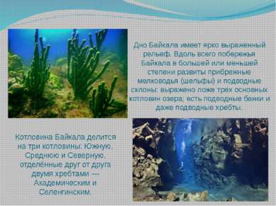 Дно Байкала имеет ярко выраженный рельеф. Вдоль всего побережья Байкала в бол...