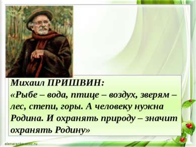 Михаил ПРИШВИН: «Рыбе – вода, птице – воздух, зверям – лес, степи, горы. А че...