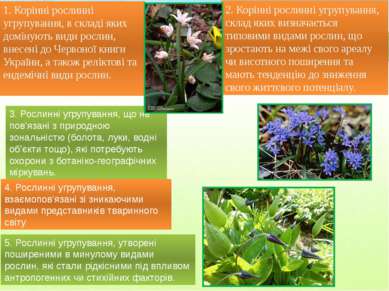 1. Корінні рослинні угрупування, в складі яких домінують види рослин, внесені...