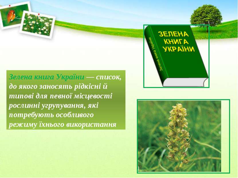 Зелена книга України — список, до якого заносять рідкісні й типові для певної...