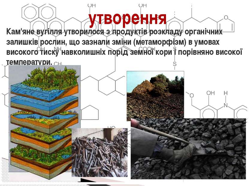 Кам'яне вугілля утворилося з продуктів розкладу органічних залишків рослин, щ...