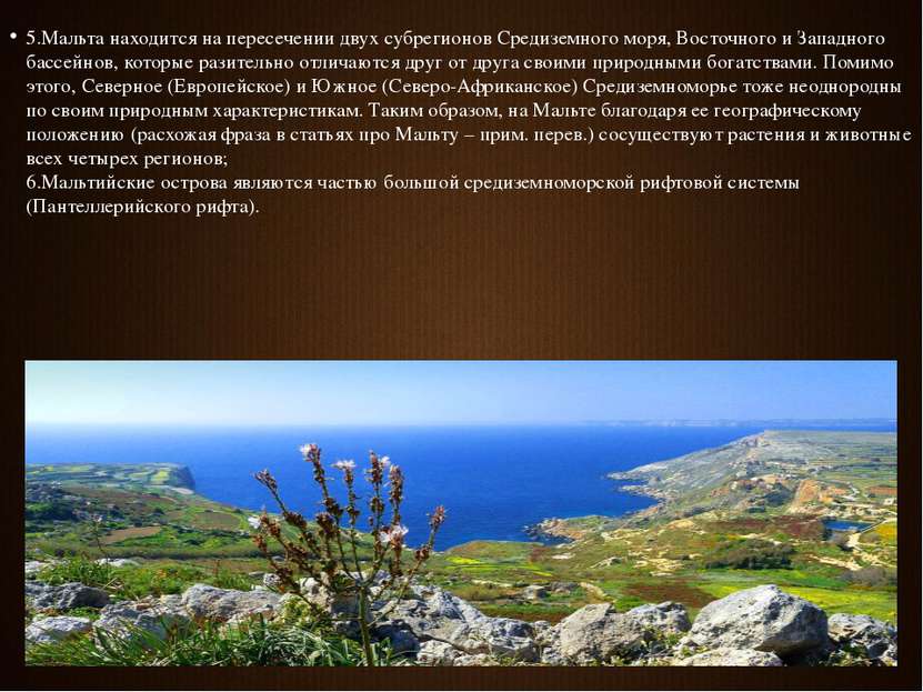 5.Мальта находится на пересечении двух субрегионов Средиземного моря, Восточн...