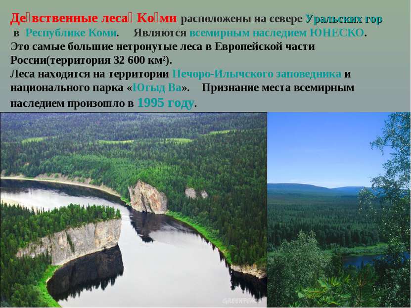 Де вственные леса Ко ми расположены на севере Уральских гор в Республике Коми...
