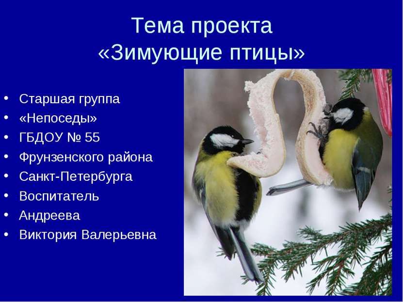 Тема проекта «Зимующие птицы» Старшая группа «Непоседы» ГБДОУ № 55 Фрунзенско...