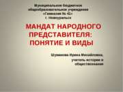 Мандат народного представителя: понятие и виды