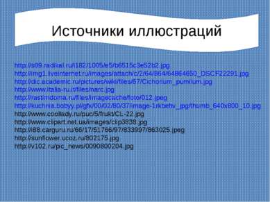 Источники иллюстраций http://s09.radikal.ru/i182/1005/e5/b6515c3e52b2.jpg htt...