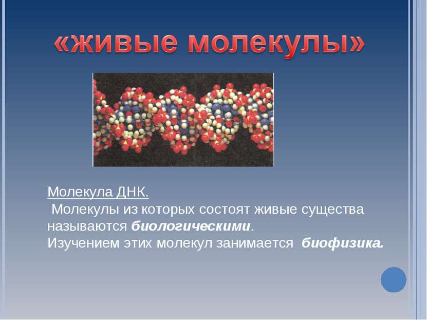 Молекула ДНК. Молекулы из которых состоят живые существа называются биологиче...