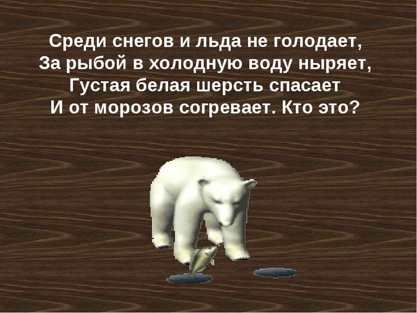 Среди снегов и льда не голодает, За рыбой в холодную воду ныряет, Густая бела...