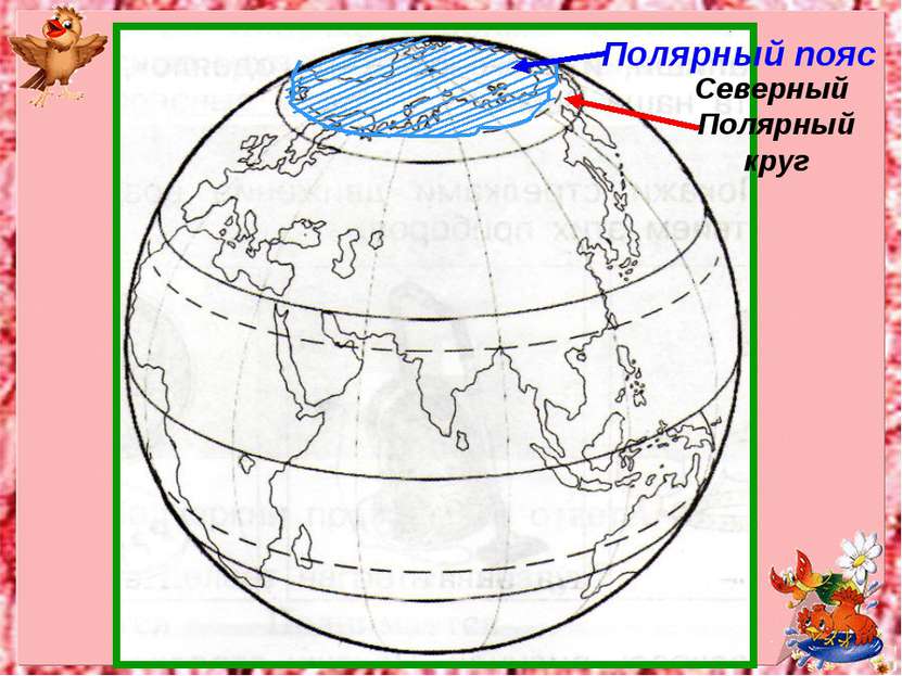 Полярный пояс Северный Полярный круг