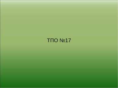 ТПО №17