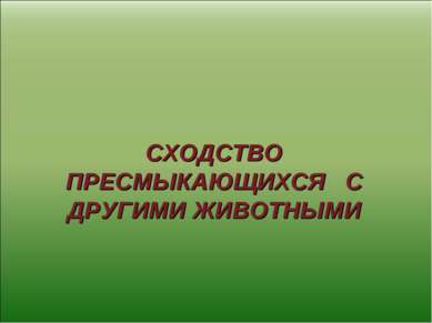 СХОДСТВО ПРЕСМЫКАЮЩИХСЯ С ДРУГИМИ ЖИВОТНЫМИ