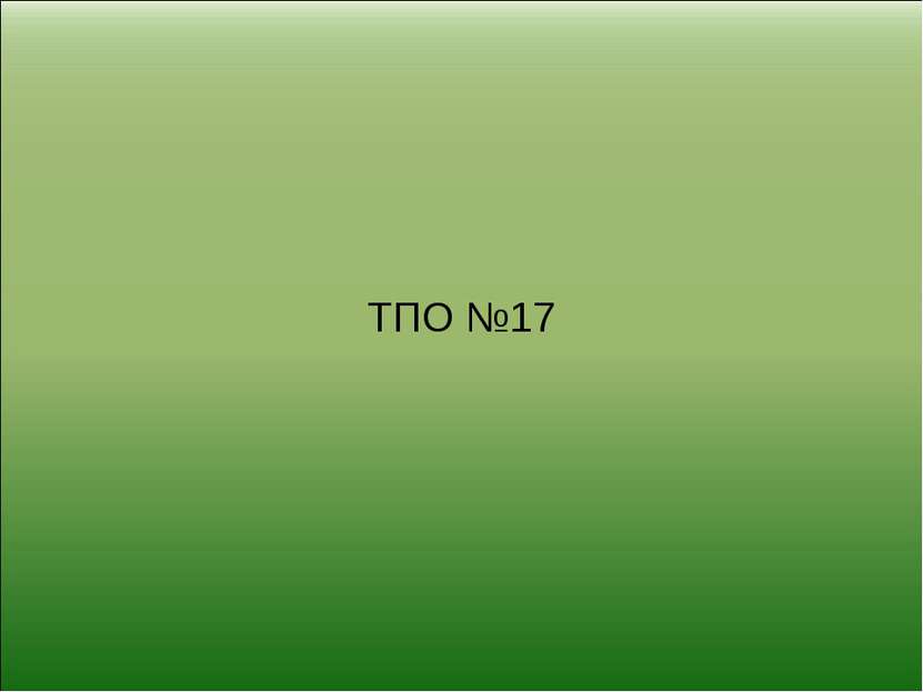 ТПО №17